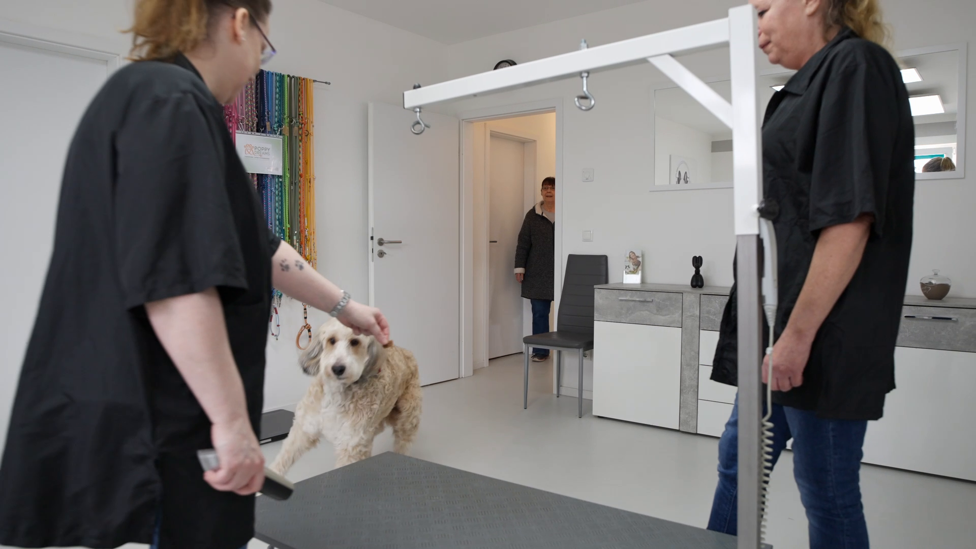 Cindy Hundesalon Hamburg: Liebevolle Pflege & Styling für Ihren Hund