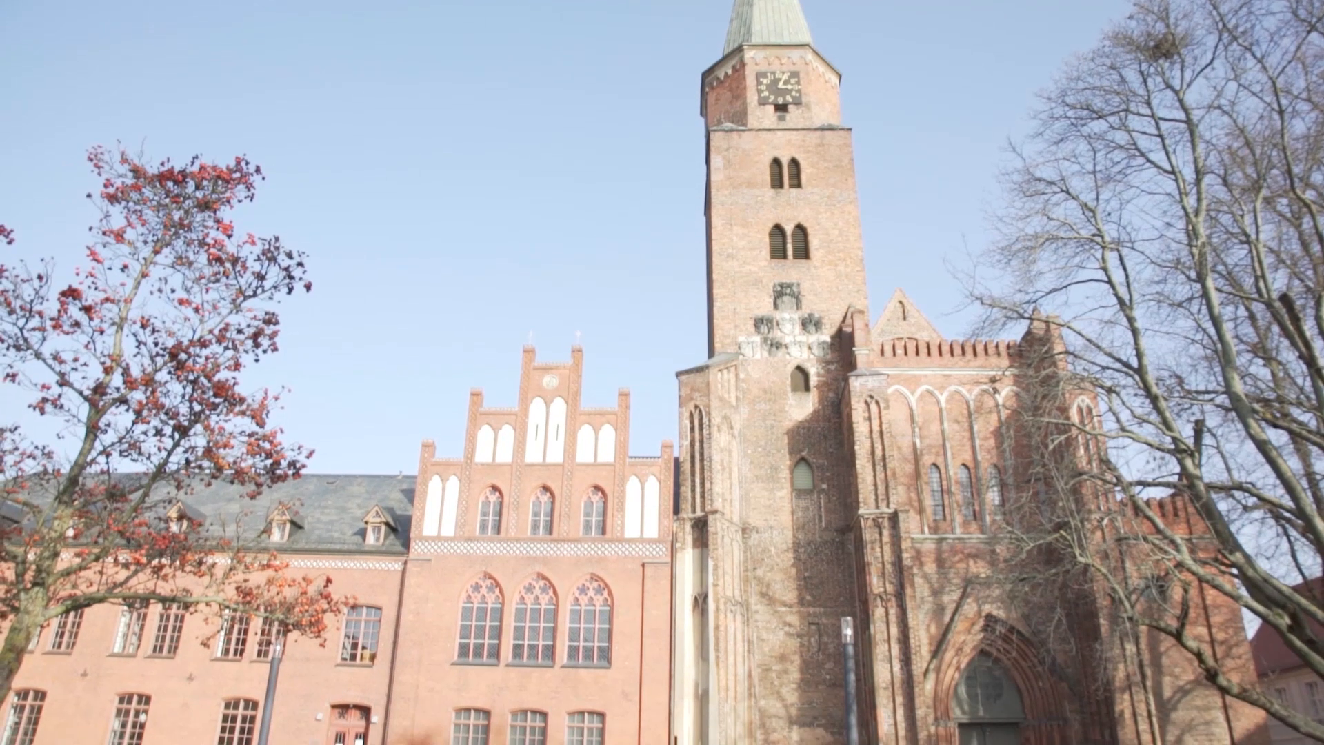 "Imoran UG - Innovatives Unternehmen in Brandenburg an der Havel"