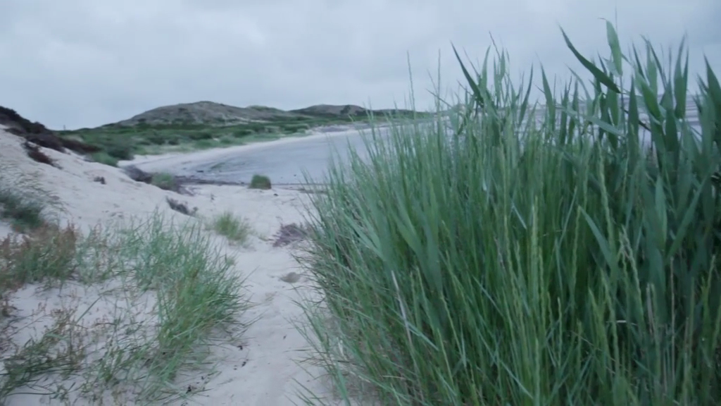 "Urlaub im Sylter Appartement: Ihr Traumaufenthalt auf Sylt"