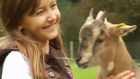 "Wildpark Schwarze Berge: Naturerlebnis in Rosengarten entdecken!"