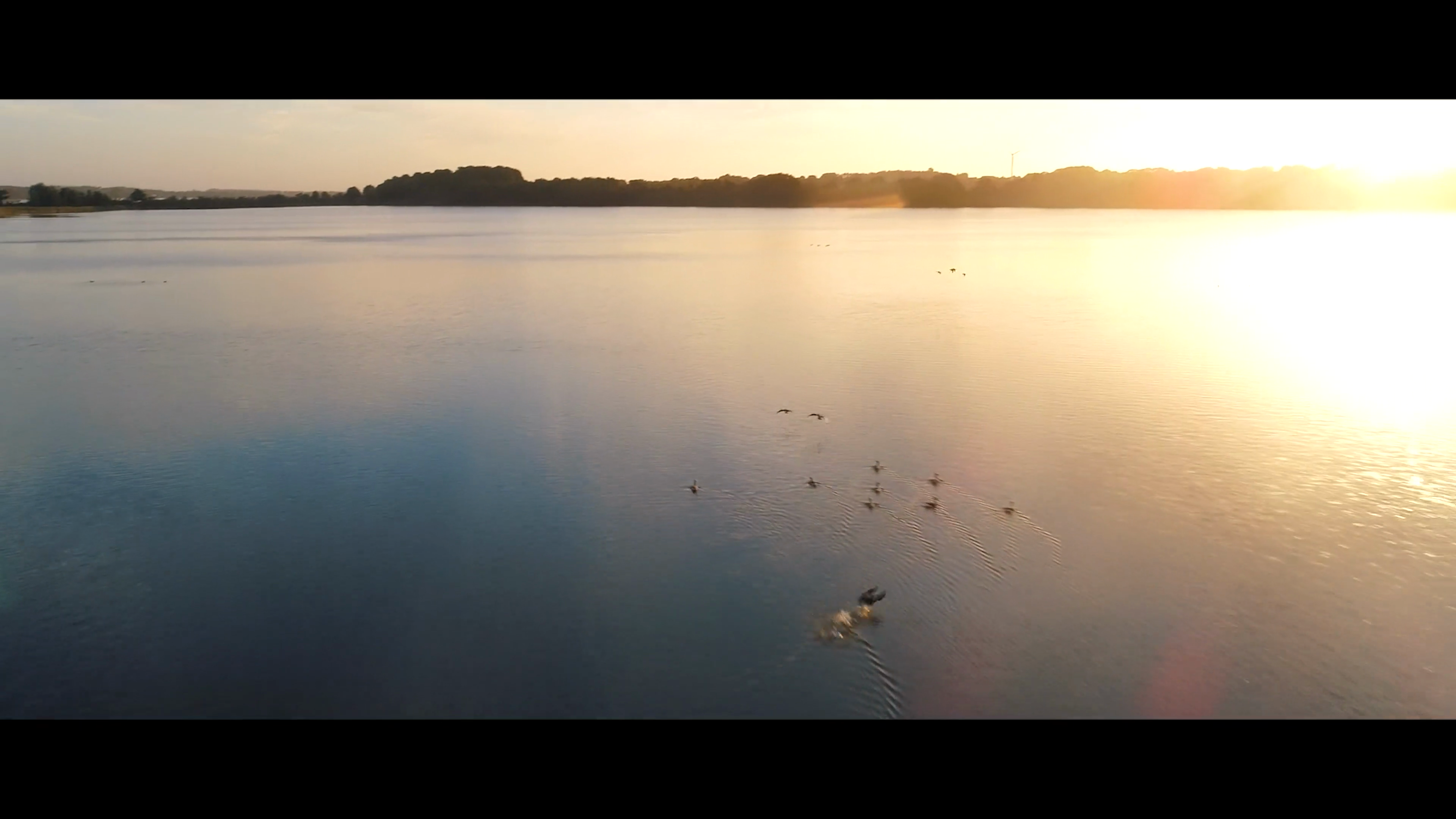 "Entdecken Sie Ostseefjord Schlei GmbH: Ihr Partner für unvergessliche Erlebnisse in Schleswig"