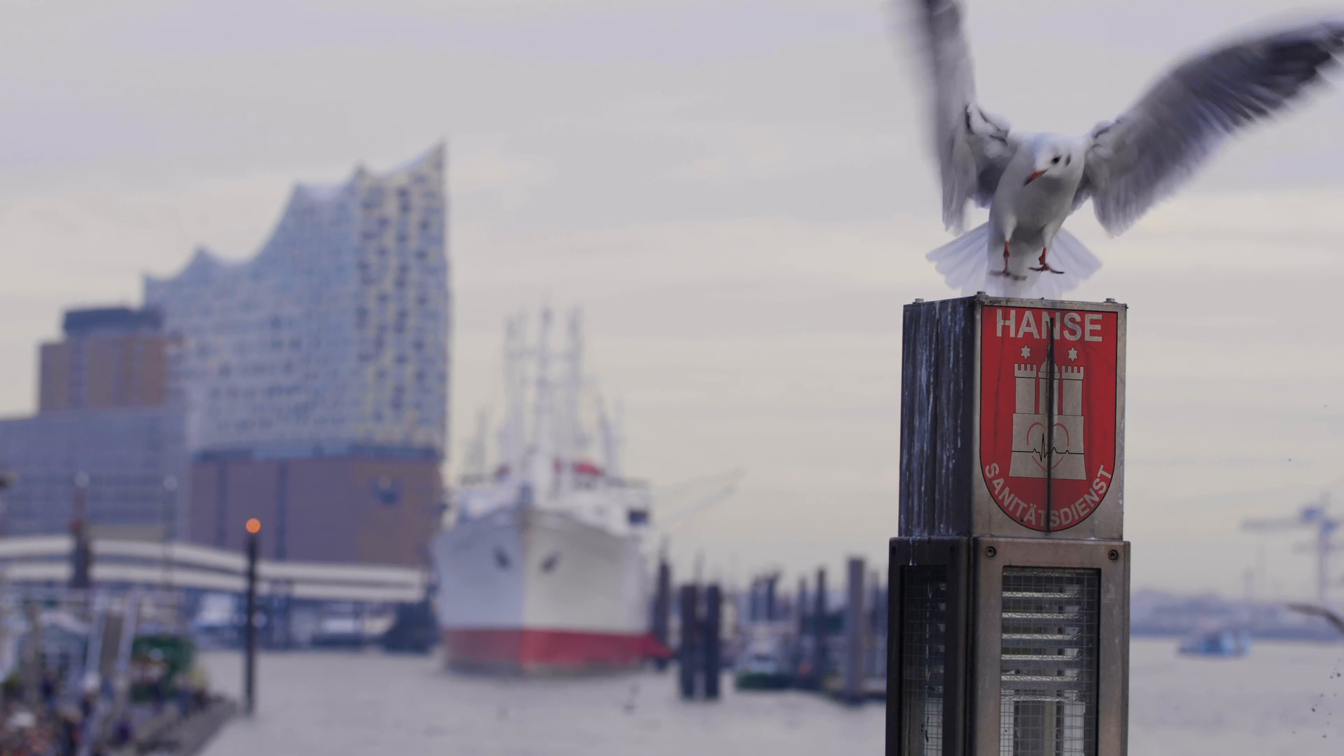Hanse Sanitätsdienst Hamburg: Sicherheit & Ausbildung für Ihre Veranstaltung