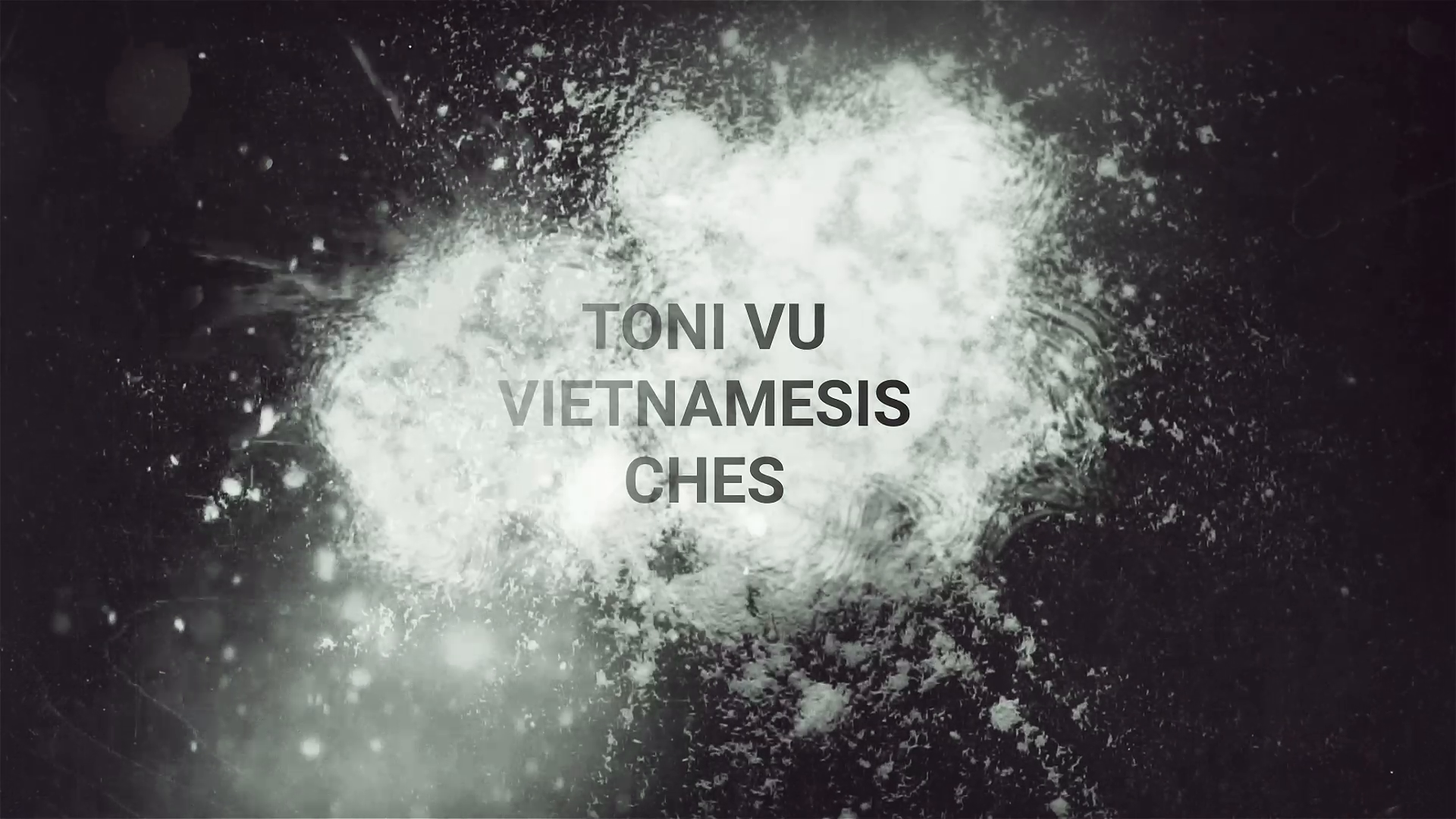 "Entdecken Sie Toni Vu: Authentisches Vietnamesisches Restaurant & Sushi in Berlin!"