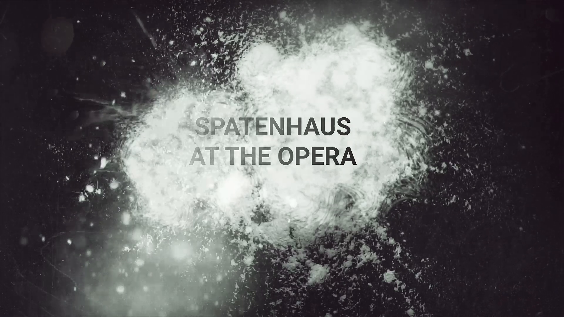 "Spatenhaus am Opernhaus München: Traditionelles Essen & Unvergessliche Erlebnisse"
