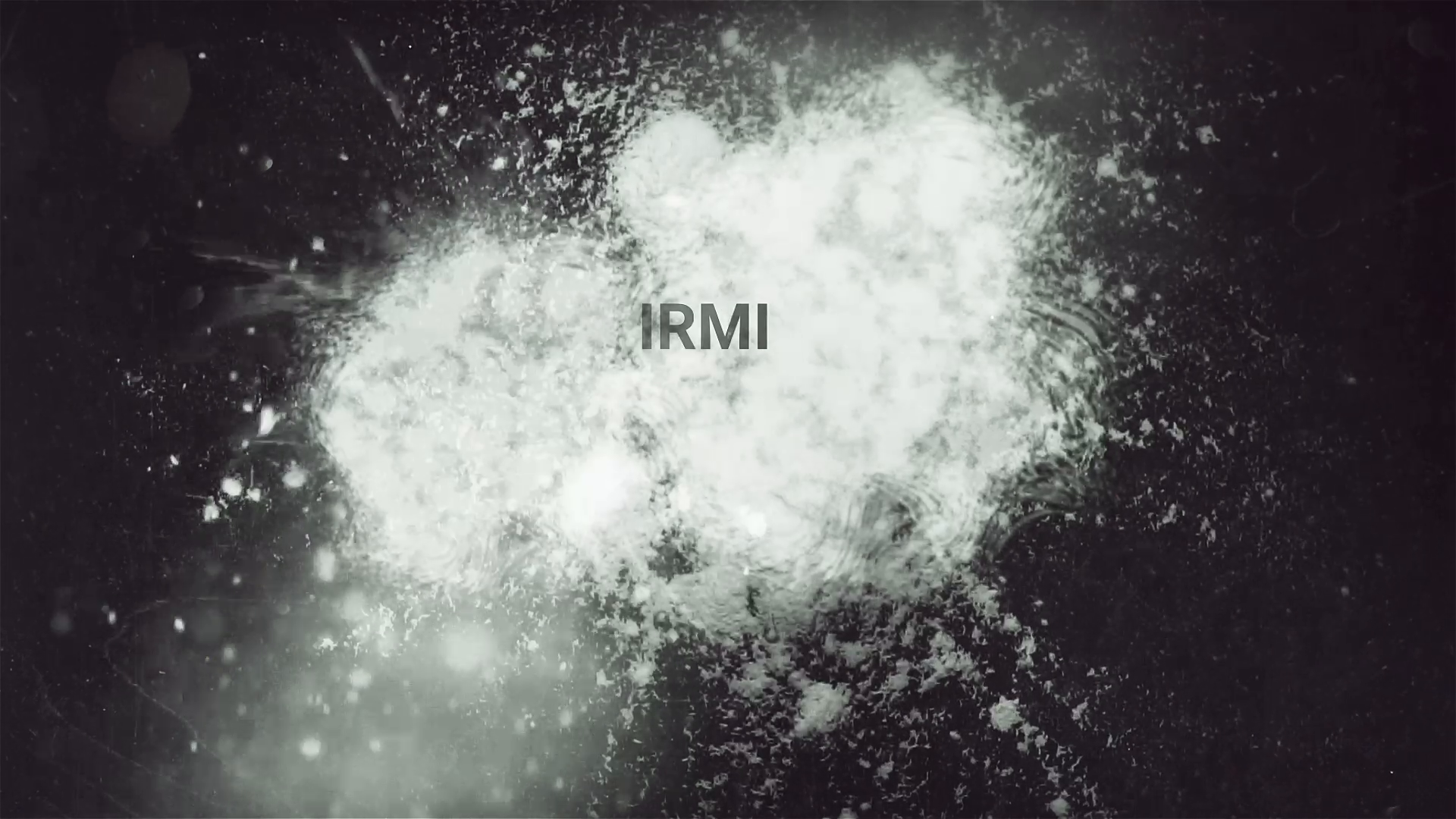 "IRMI München: Innovative Lösungen für Ihr Unternehmen"